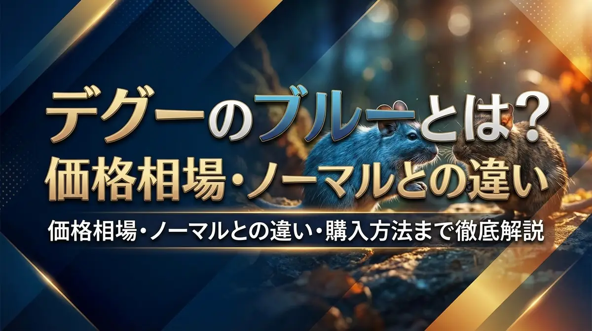 デグーのブルーとは?価格相場・ノーマルとの違い・購入方法まで徹底解説