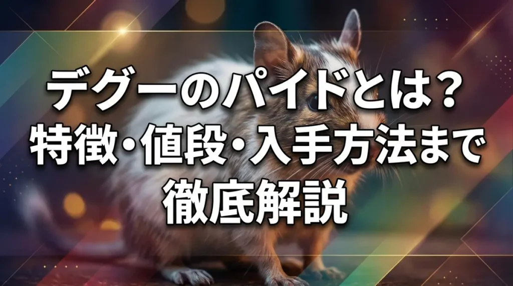 デグーのパイドとは？特徴・値段・入手方法まで徹底解説