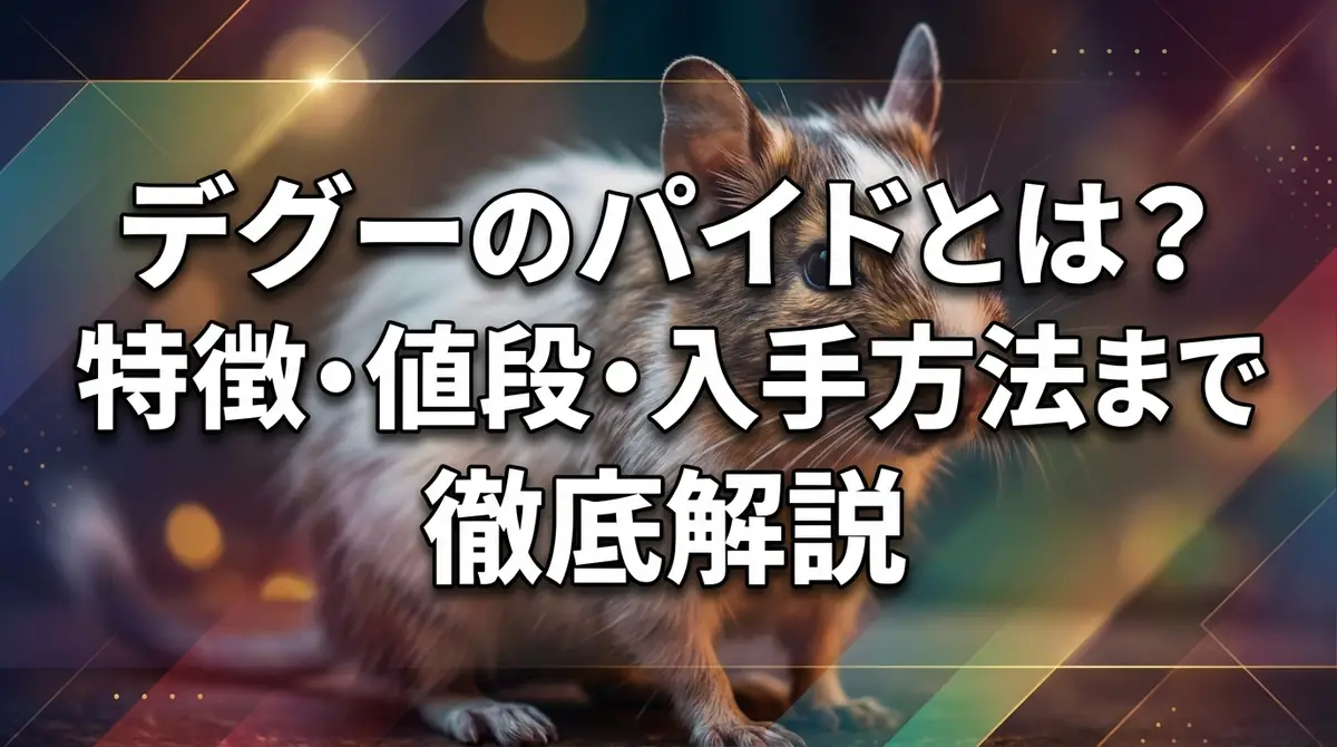 デグーのパイドとは？特徴・値段・入手方法まで徹底解説