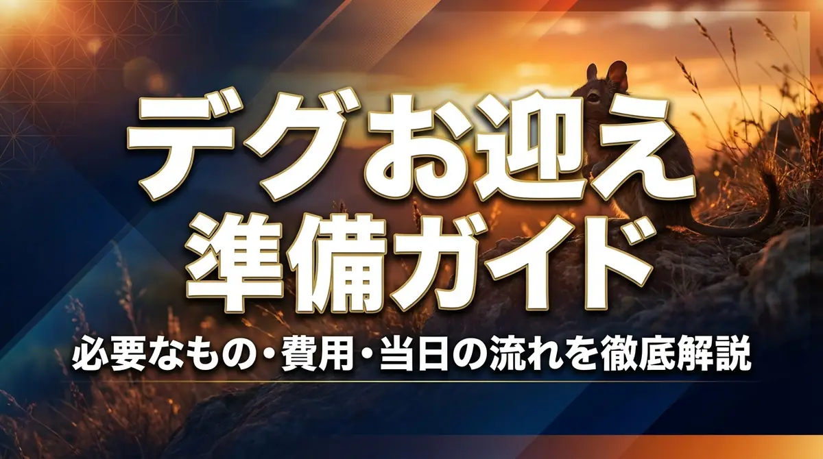 デグーお迎え準備ガイド｜必要なもの・費用・当日の流れを徹底解説