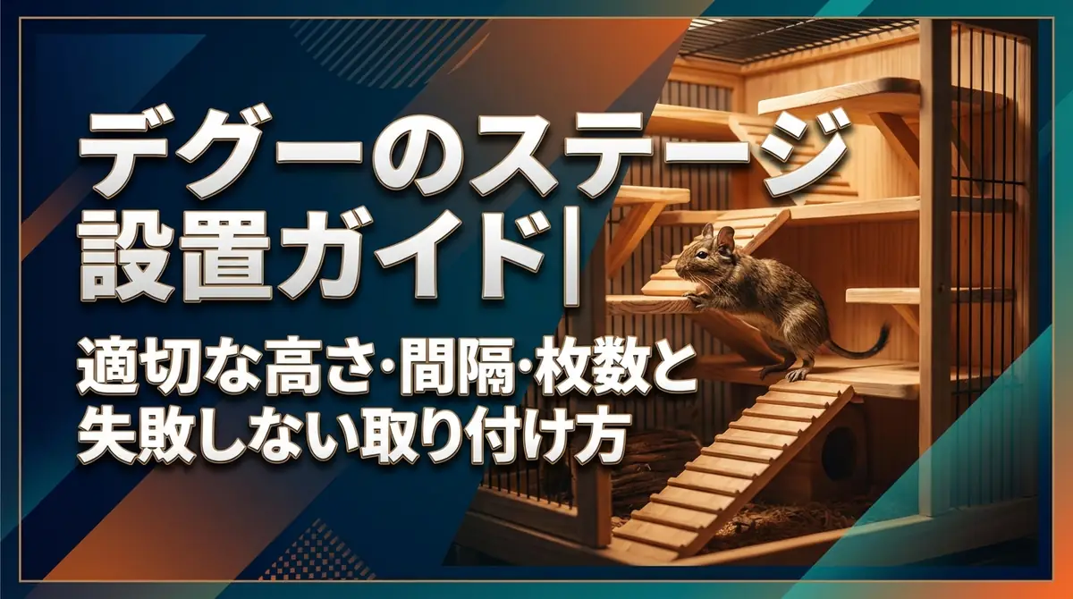 デグーのステージ設置ガイド｜適切な高さ・間隔・枚数と失敗しない取り付け方