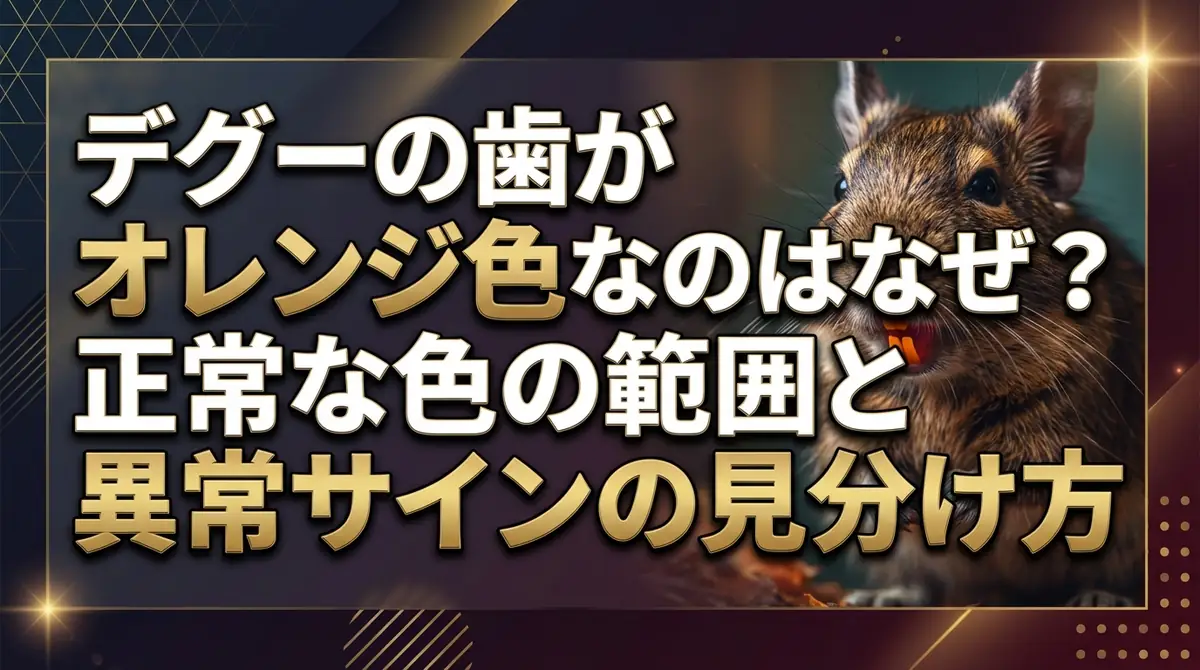 デグーの歯がオレンジ色なのはなぜ？正常な色の範囲と異常サインの見分け方
