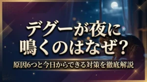 デグーが夜に鳴くのはなぜ？原因6つと今日からできる対策を徹底解説