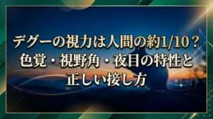 デグーの視力は人間の約1/10？色覚・視野角・夜目の特性と正しい接し方