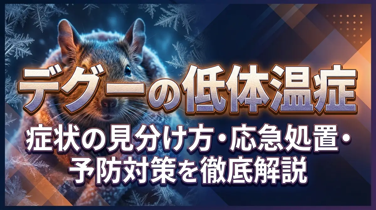 デグーの低体温症|症状の見分け方・応急処置・予防対策を徹底解説