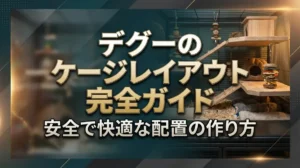 デグーのケージレイアウト完全ガイド｜安全で快適な配置の作り方